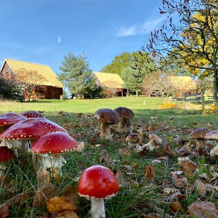 Chalets De L Empereur Ussel  Buitenkant foto