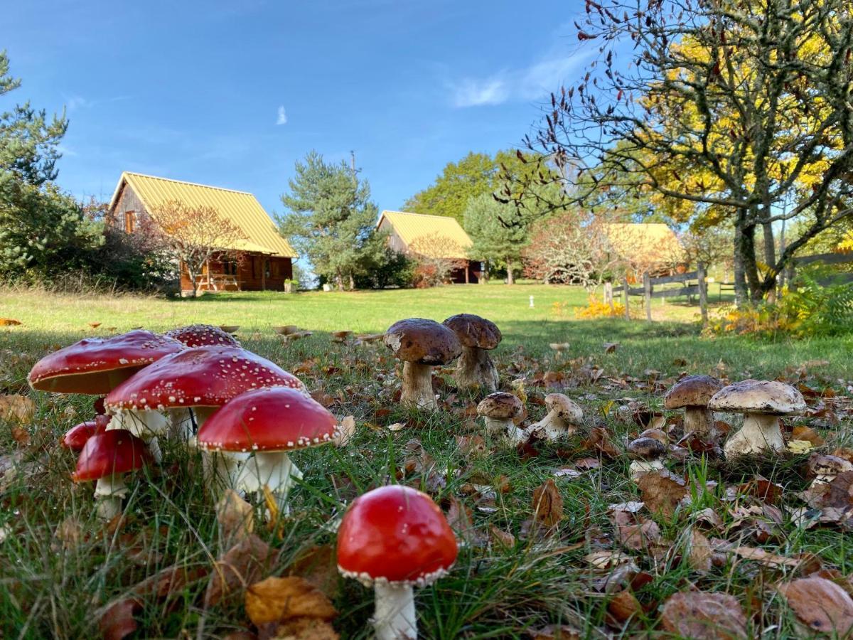 Chalets De L Empereur Ussel  Buitenkant foto